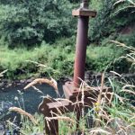 an overgrown sluice gate